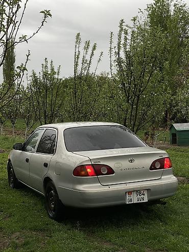 Toyota: Toyota Corolla: 2001 г., 1.8 л, Автомат, Бензин, Седан — 14