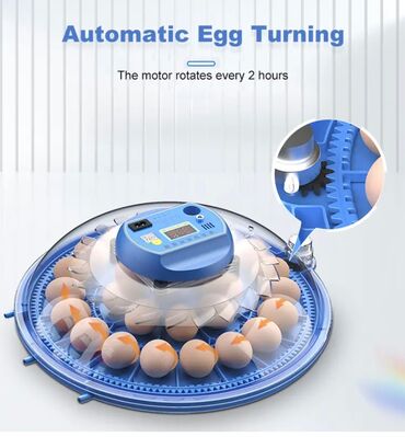 Oprema za kućne ljubimce: INKUBATOR Automatski nove generacije za 52 jaja 12v/220v — 10