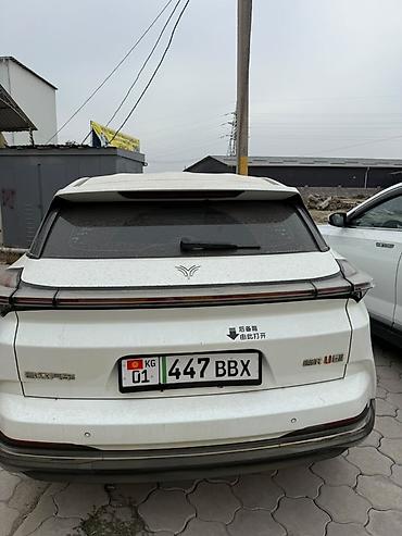 BYD: BYD : 2023 г., Электромобиль, Кроссовер — 4