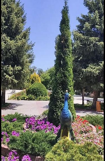 Продажа коттеджей и домов: 🌊 СРОЧНО ПРОДАЕТСЯ Таунхаус в РАДУГА 🌈 ВЕСТ с термальной водой в доме — 10