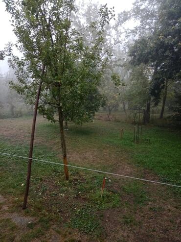 Torpaq sahələrinin satışı: Tikinti, Mülkiyyətçi, Kupça (Çıxarış), Bələdiyyə, Texniki pasport — 7