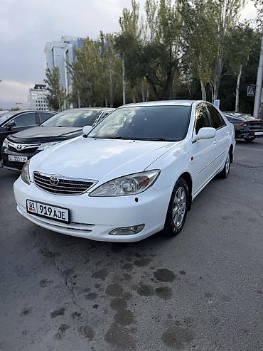 camry 55 exclusive: Toyota Camry: 2003 г., 2.4 л, Автомат, Бензин, Седан — 1