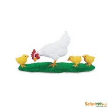 купить яйцо бройлера для инкубации: 🐓 Продаётся курица-несушка с 9 цыплятами! 🐥🐥🐥 Идеальный вариант для
