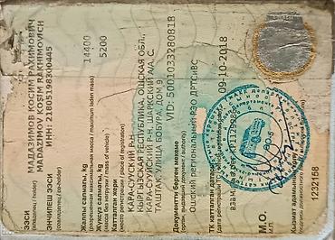 прицеп крона: Прицеп, Бортовой, от 12 т, Б/у — 2