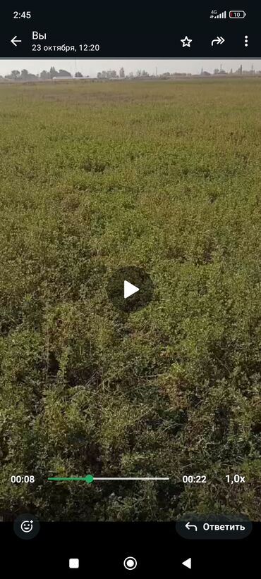 подсолнечное масло 1 л цена бишкек: Сено/люцерна с поля - Кормовая культура на корню: густые заросли lalafo.kg да подсолнечное масло 1 л цена бишкек: Сено/люцерна с поля - Кормовая культура на корню: густые заросли