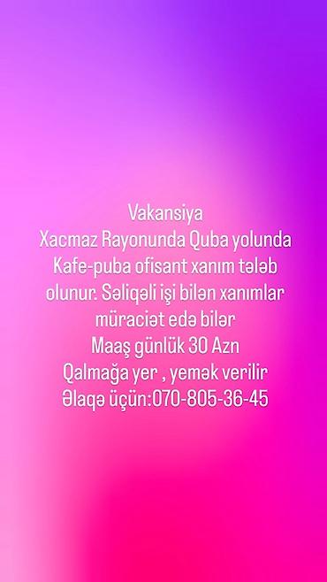 təmir tikinti iş elanları: Ofisiant tələb olunur, Kafe, Gündəlik ödəniş — 1