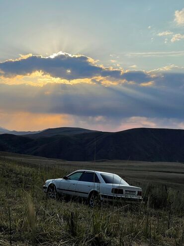Audi: Audi 100: 1991 г., 2.3 л, Механика, Газ, Седан — 8