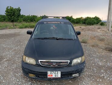 Honda: Honda Odyssey: 1999 г., Минивэн