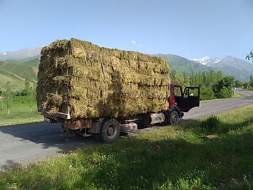 e34 2 5: Грузовик, Mercedes-Benz, Стандарт, Б/у — 6