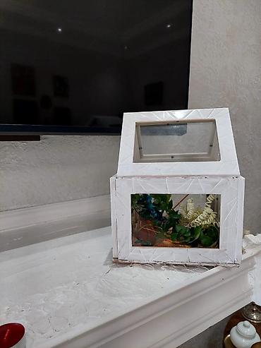 taxta dibcek: Ağ rəngli dekorativ mini istixana/terrarium Instagram:@art_form.design — 2