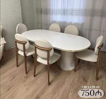 Masa və oturacaq dəstləri: Masa və stul dəsti – Xmd - Komplektlər: - Masa 1×2 m + 6 stul - — 11