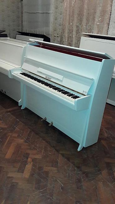Musiqi alətləri: Pianino PETROF cexya stehsalı. Ideal vəziyyədə Cadırılma və köklənmə — 2