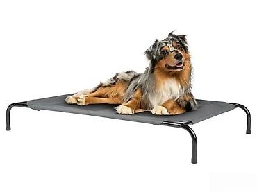 Oprema za kućne ljubimce: Povišeni krevet za pse – Zoofari - Stabilna, metalna konstrukcija sa — 1