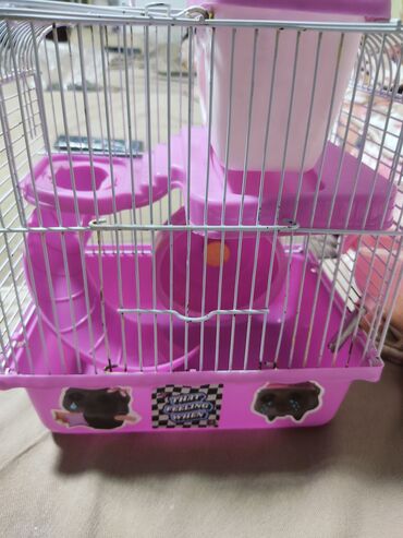 Qəfəslər: Hamster üçün qəfəs – çoxmərtəbəli, aksesuarlarla ki - Rəng — 4