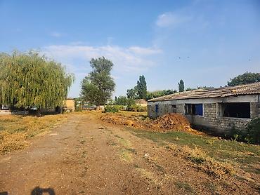 corat həyət evləri: Ferma təsərrüfatı üçün daş konstruksiyalı iri təsərrüfat binaları və — 2