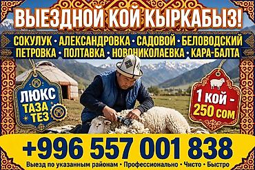 Выездная стрижка овец. - Обслуживание с выездом по районам: Сокулук at lalafo.kg Выездная стрижка овец. - Обслуживание с выездом по районам: Сокулук