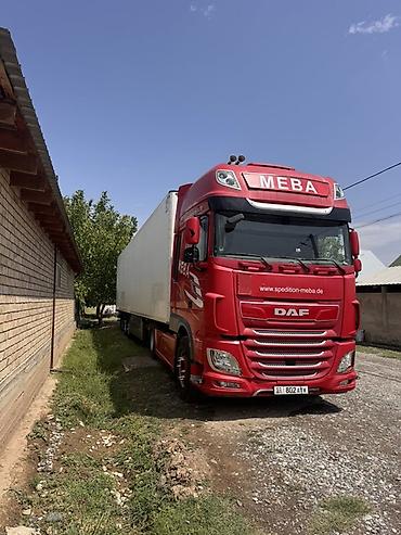 авто фрион: Тягач, DAF, Холодильник, рефрижератор — 2