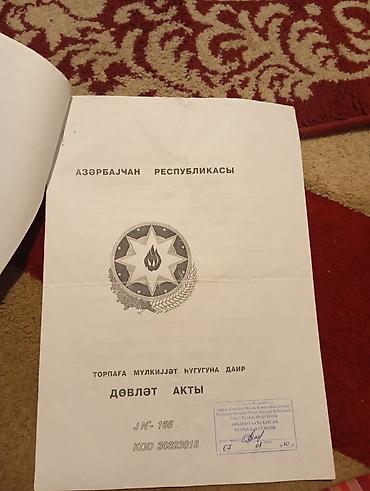 masalli dasinmaz əmlak: Kupça (Çıxarış) — 2