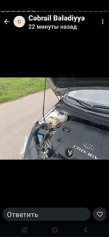 Kia: Kia Ceed hatchback – gümüşü rəng - Kuzov: 5 qapılı hatchback - Rəng — 15