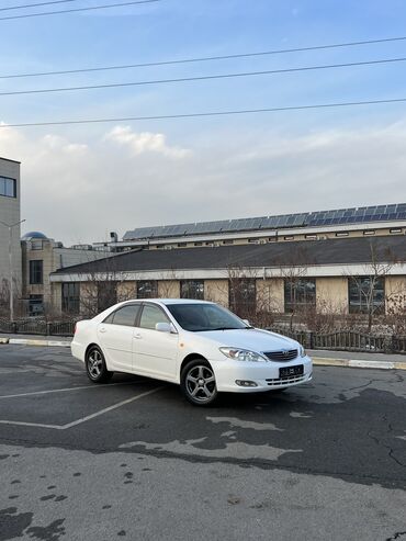 продажа авто тойота камри: Toyota Camry: 2003 г., 2.4 л, Автомат, Бензин, Седан
