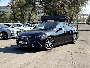 Lexus: Lexus ES: 2021 г., Седан — 3