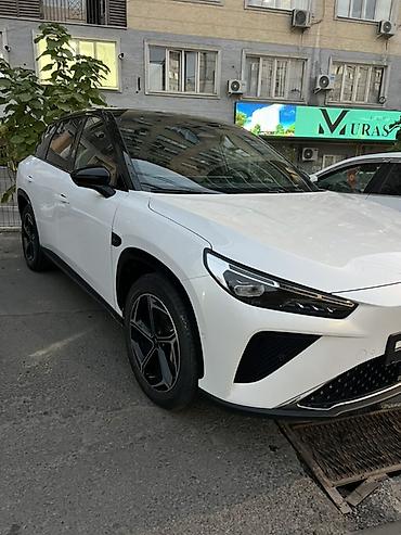 hozon: Hozon Neta L: 2024 г., 1.5 л, Автомат, Электромобиль, Кроссовер — 8