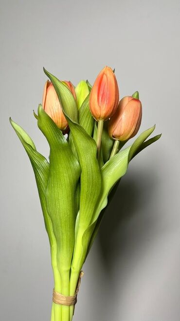 Süni güllər: Məhsul: Tülpan gulleri - Rənglər: Şaftalı-narıncı və ağ tonlarda — 2