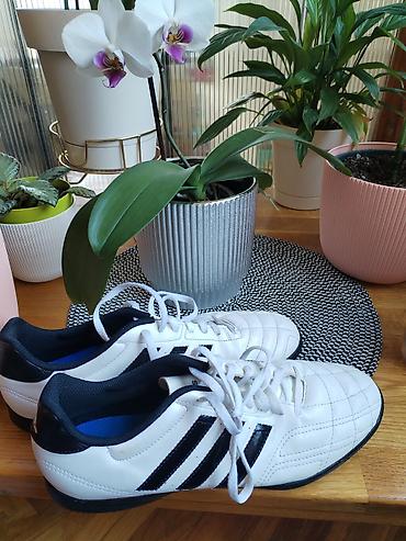 kopacke cene: Adidas fudbalske patike za travnate/veštačke podloge (TF, “turf”) - — 5