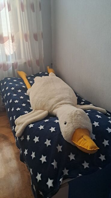 поп ит в азербайджане: Ördek 170 uzunu.
Qiymet 40 azn 
Unvan Hezi Aslanov 
Vesile🌹4719