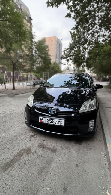 Toyota: Toyota Prius: 2010 г., 1.8 л, Вариатор, Гибрид, Хэтчбэк — 1