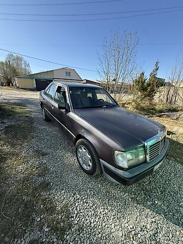 оптика 124: Mercedes-Benz W124: 1991 г., 2.3 л, Механика, Бензин, Седан — 2