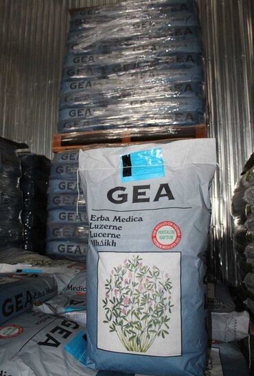 экструдированный корм: Продам семена люцерны джея клевера семена джея GEA производства