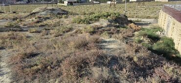 Torpaq sahələrinin satışı: 6 sot, Tikinti, Mülkiyyətçi, Kupça (Çıxarış) — 11