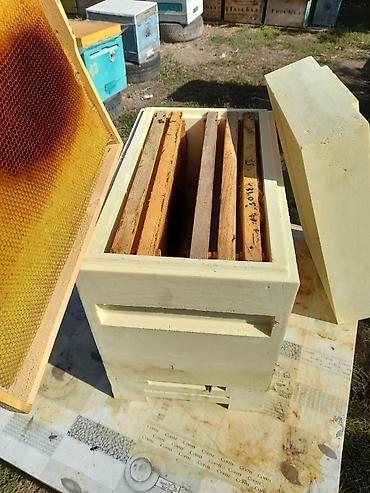 Товары и оборудование для с/х животных: ППУ ульи для пчел 6ти рамочный. Пенополиуретановые ульи для — 15