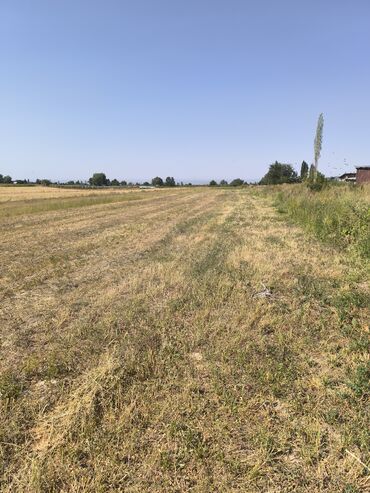 дома на иссык куле: 4 соток, Для бизнеса, Договор купли-продажи