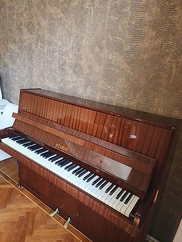 petrof: PETROF Upright piano - Brend/model: PETROF (upright/şaquli piano) - — 2