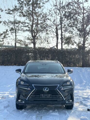 замена масла требуется: Lexus NX: 2018 г., 2 л, Автомат, Бензин, Кроссовер