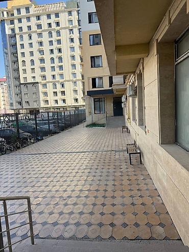 kant flat: 1 комната, 49 м², Кок-Жар мкр Элитка, 12 этаж, Евроремонт — 6