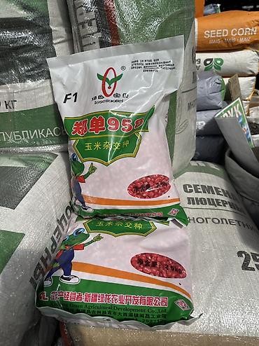 Кукуруза: Китайский жугору уруктар:

🐼 Панда 958✅
🐸 Лягушка 958✅
Тянь-шань 5.✅ — 6