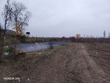 Torpaq sahələrinin satışı: Mülkiyyətçi — 9