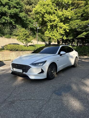 купить диск на 16 бу: Hyundai Sonata: 2020 г., 2 л, Автоматтык, Гибрид, Седан