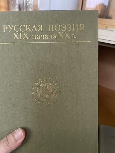 Русский язык и литература: Собрание книг серии «Библиотека учителя» (издательство Просвещение) — 12