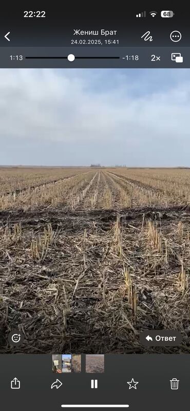 земельные участки аренда: Для сельского хозяйства