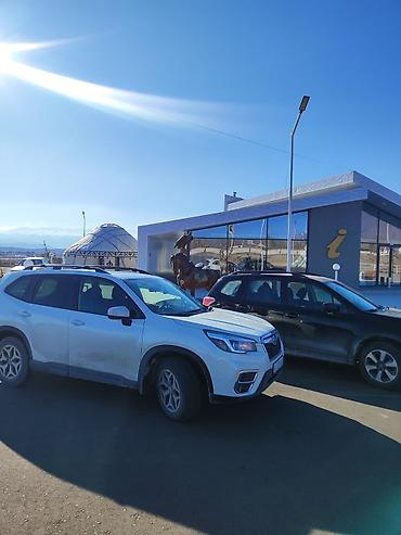 gorent: Аренда авто в Бишкеке — Subaru Forester (белый кроссовер) От 3 дней — 2