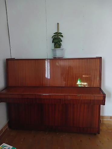 Musiqi alətləri: Dik piano – klassik üslubda akustik upright model. Xüsusiyyətlər: - — 2