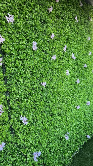 Digər ev dekoru: 7 man baslayan qiymetler elani diqqetli oxuyun zehmet olmasa ed 7 man — 2