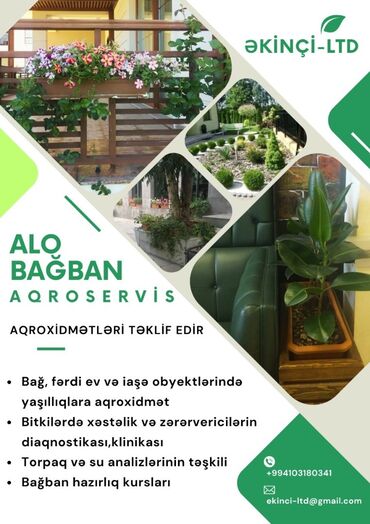 Landşaft işləri: • Bag, fardi ev va iago obyektlarindo yagilliqlara aqroxidmat •
