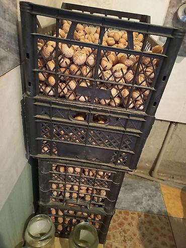 орехи купить: Грецкий орех в скорлупе - Урожай в проветриваемых пластиковых ящиках — 3