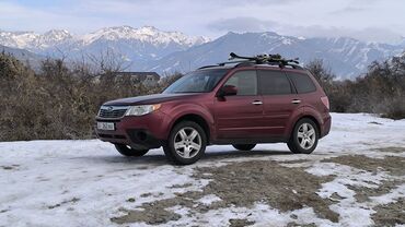 Subaru: Subaru Forester: 2010 г., 2.5 л, Автомат, Газ, Кроссовер