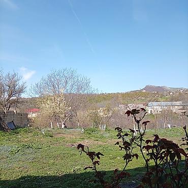 Torpaq sahələrinin satışı: Kənd təsərrüfatı — 15